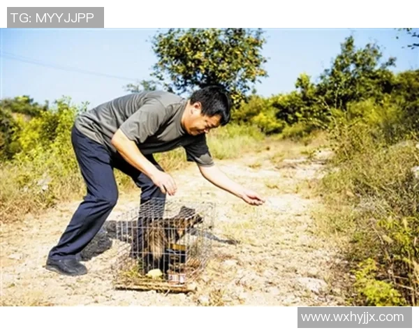 偷鸡的经典案例分析:从职业玩家的比赛中学习偷鸡技巧。 偷鸡的经典案例分析:从职业玩家的比赛中学习偷鸡技巧。